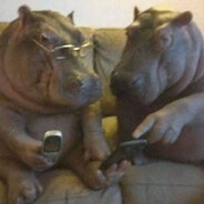 guzlo54 - steam id 76561199217023972