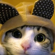 你下棋像蔡徐坤