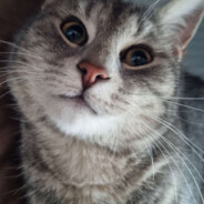 zelix