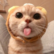 Xê kô
