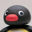 Pingu