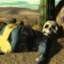 William Afton