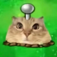 猫雷你可以吃芝士汉堡