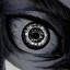 Observer