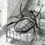 Gregor Samsa