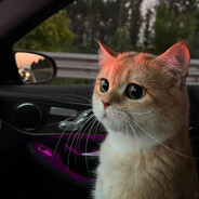 Автор avatar