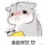 风花过影