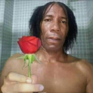 送你一朵玫瑰花