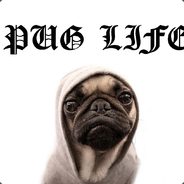 Pug Life