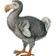 Dodo Kuşu