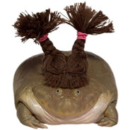 80岁性感癞疙宝