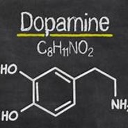 ST PFC Dopamine