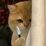 haven't played for 2 weeks :(