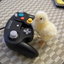 GaMin&#039;ChIck