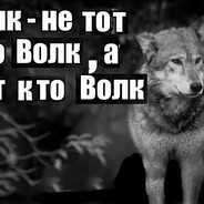 Цытаты волка