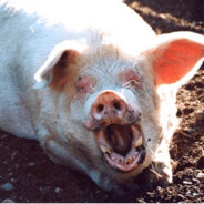 водитель по губам