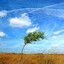 The Wind