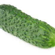 ﮚ.†.λ.Ⱡ.₭.∑.Ʀ