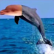 素食女权主义黑人男同