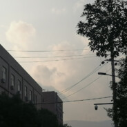 冰糖葫芦好好吃