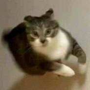 Avatar самса с мясом