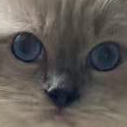hex: skillmog
