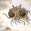 Flying spaghetti monster