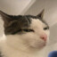 nie