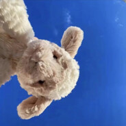 羊驼有点不会玩