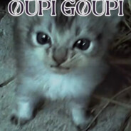 Oupi Goupi Steam avatar