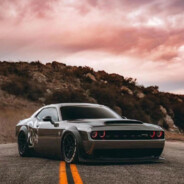 自己都分不清了