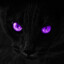 LoL | Dark Hs*