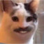 ElCuajadito