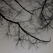 𒁀𒋻𒐏𒈦𒋻𒇲𒁓