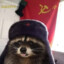 ☭Soviet Raccoon☭