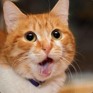 我的大电可要进来咯