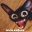 Domovyonok Pussy