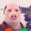 John Pork