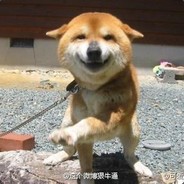 尼古拉斯赵玉田