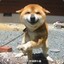 尼古拉斯赵玉田