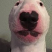 Walter