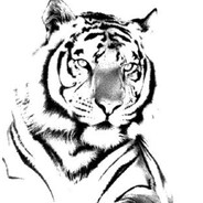 ♿︎ Disput Merely ♿