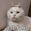 咕咕鸡