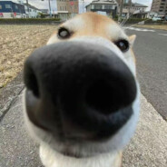 她说人多以为有我