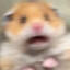 Simcitypro