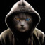 YuKocase.gifts