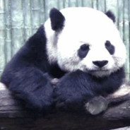 絕兇の猛虎純真丁一郎