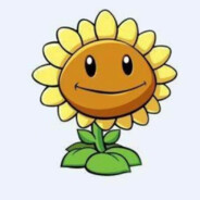 无敌自由人向日葵