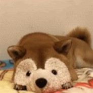 Noobly