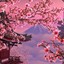 花びらの桜風に飛ぶ